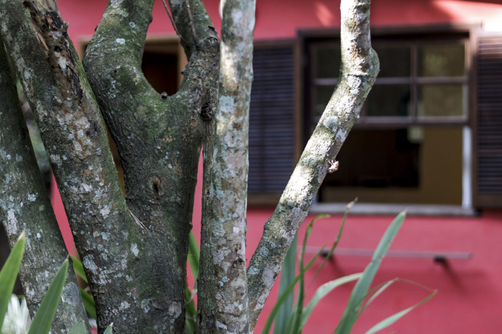 Pousada Itaipava, Petrópolis, RJ, Suíte Cafezal