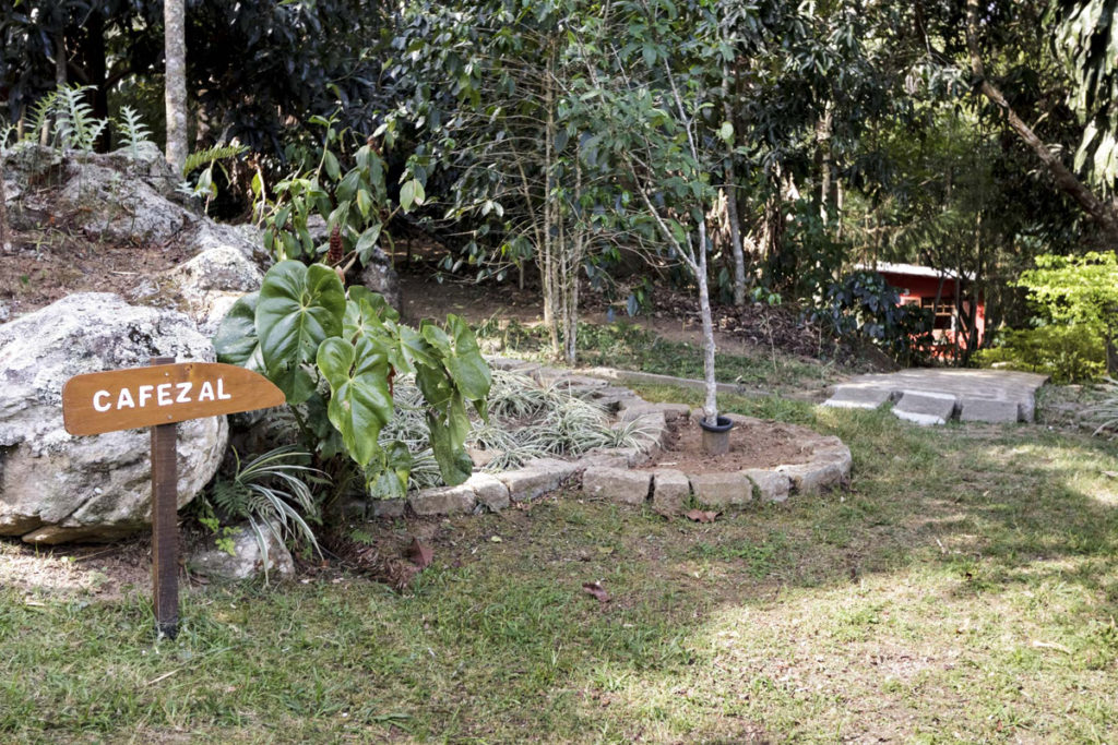 Pousada Itaipava, Petrópolis, RJ, Suíte Cafezal